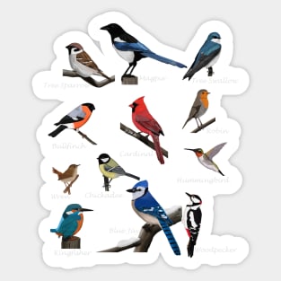 Garden Birds Cardinal Blue Jay Hummingbird Robin Wren Finch Sticker